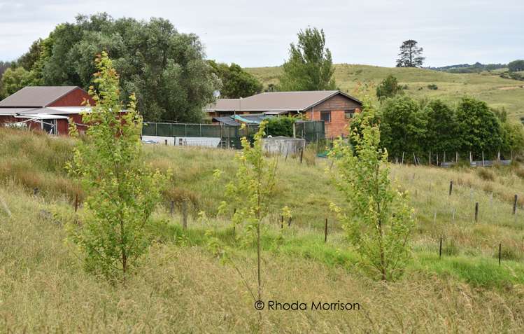 10 Te Pahi River Drive Paparoa_50