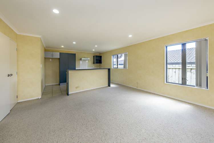 17 Ksenia Drive Flat Bush_6