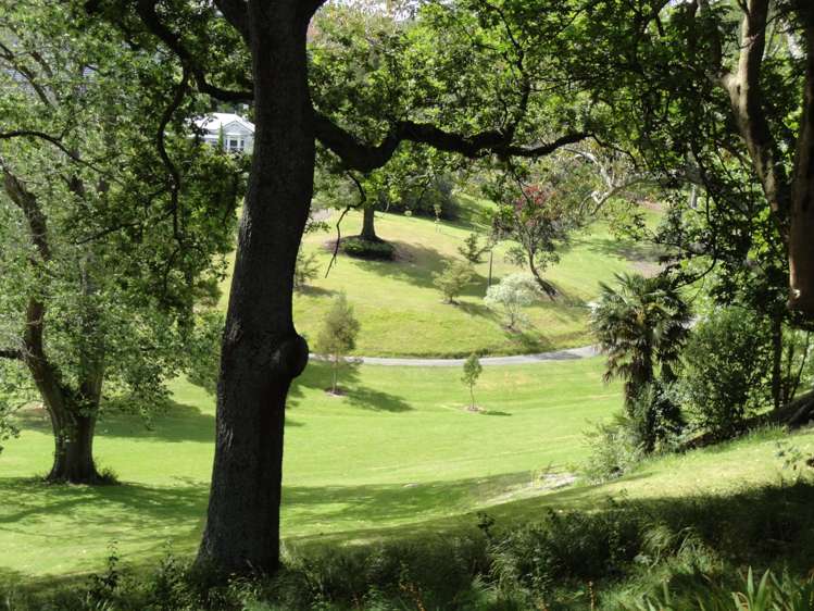 8b/31 Day Street Auckland Central_10