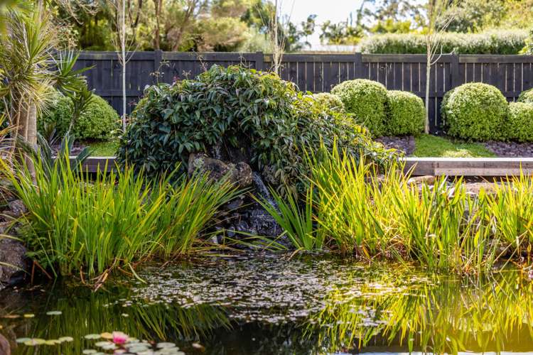 41b Kendall Road Kerikeri_23