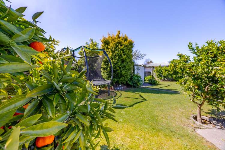 12 Norwich Crescent Tamatea_16