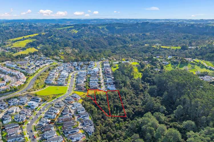 13 New Dawn Lane Albany Heights_6