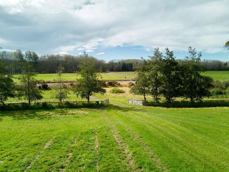 825 Opihi Road Pleasant Point_5