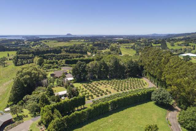 109d Plummer Road Whakamarama_2