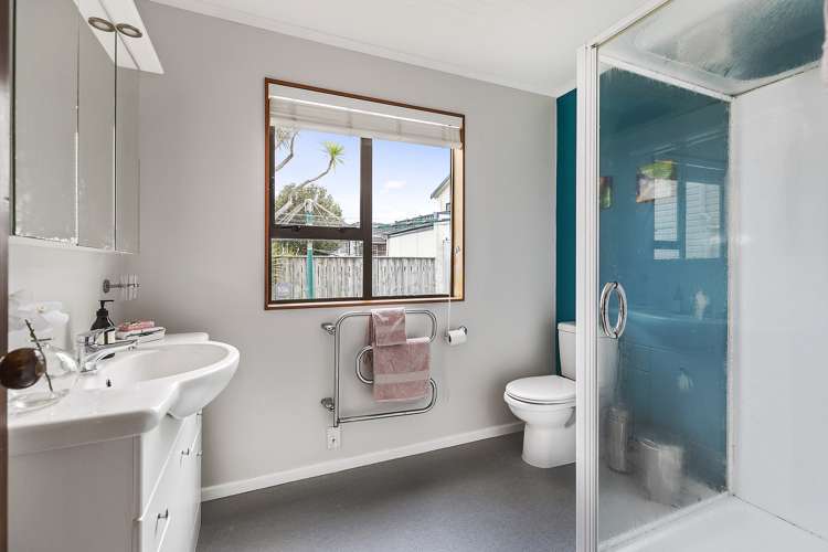 6 Virginia Grove Brooklyn_12