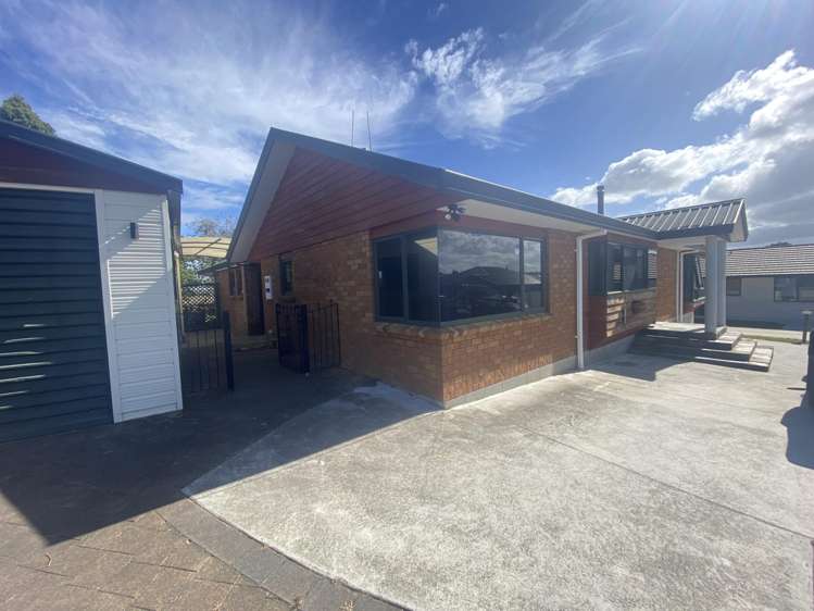 3 Gulati Lane Morrinsville_19