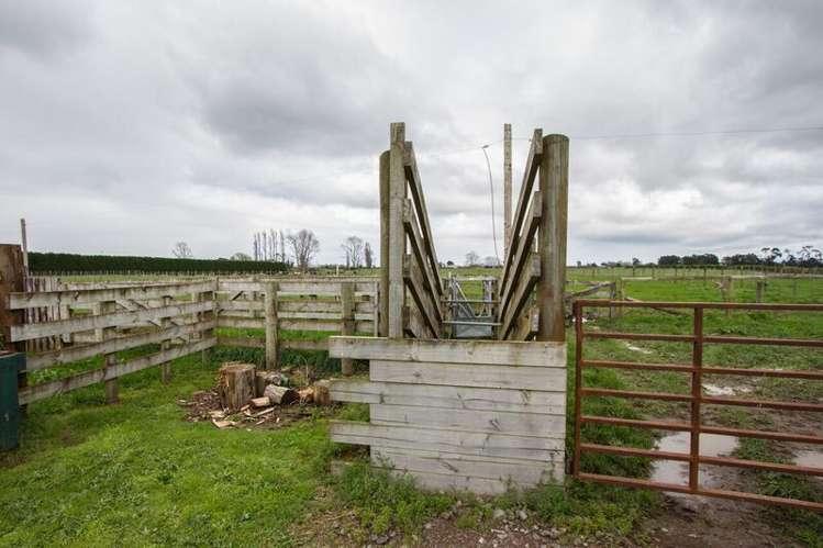 121 Mace Road Hauraki Surrounds_17