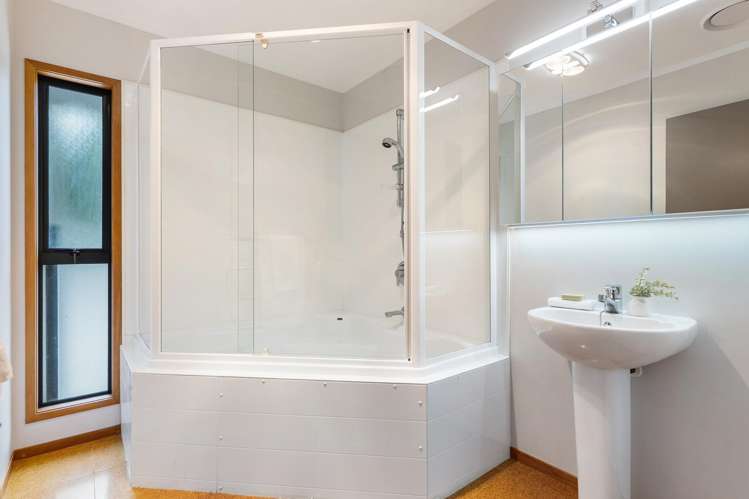 12B Cradock Street Avondale_14