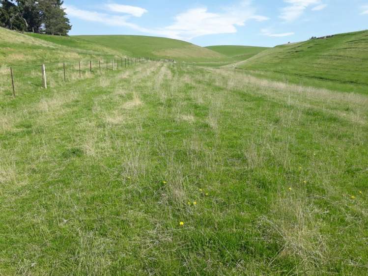 144 Tokarahi-Duntroon Road Five Forks and Surrounds_2