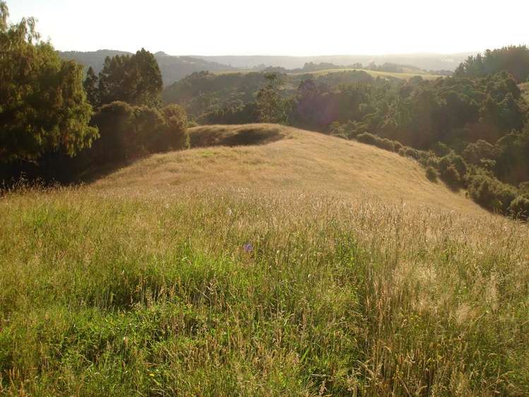 158 Hay Road Hukerenui and Surrounds_3