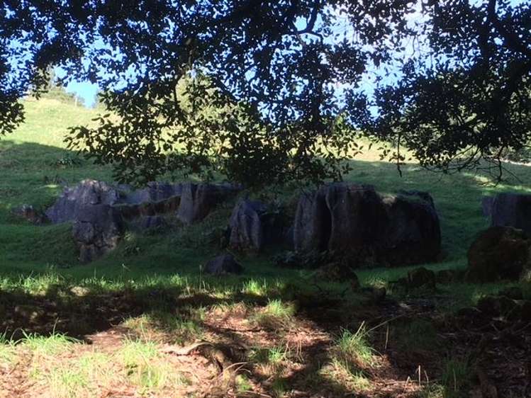 1415 Oparure Road Pomarangai_23