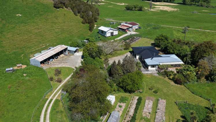 915 Thorpe-Orinoco Road, Dovedale Ngatimoti_47