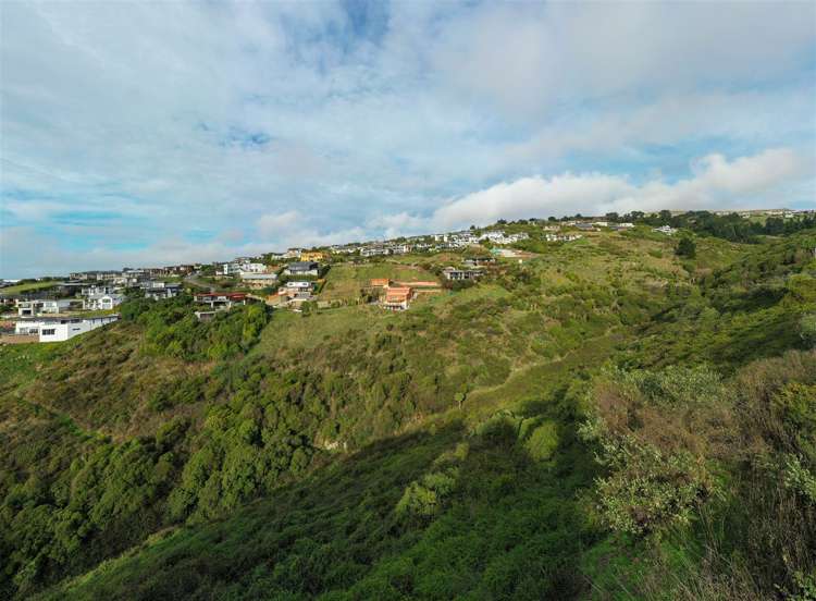 20 Selleck Street Mount Pleasant_8