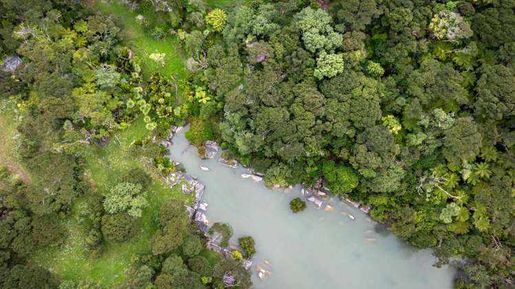 505 Te Akau Wharf Road Te Akau_10