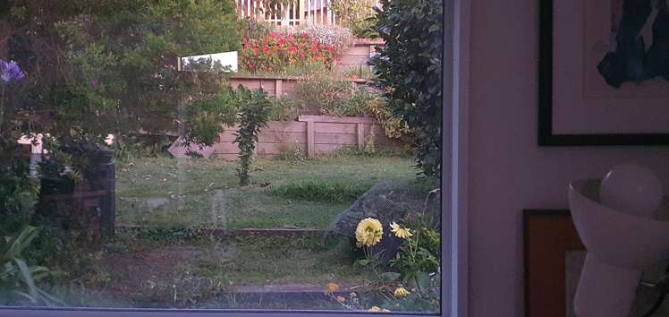 123 Wellington Road Paekakariki_1