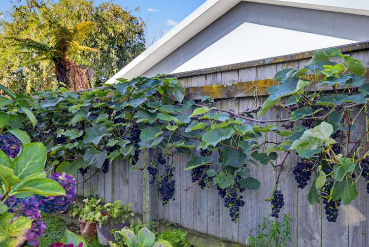 28B Goodman Drive Motueka_21