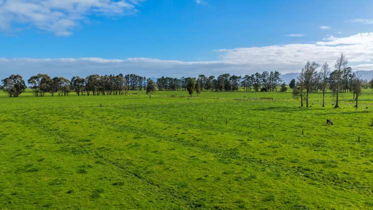 118 + 119 Wharepoa Road Netherton_16