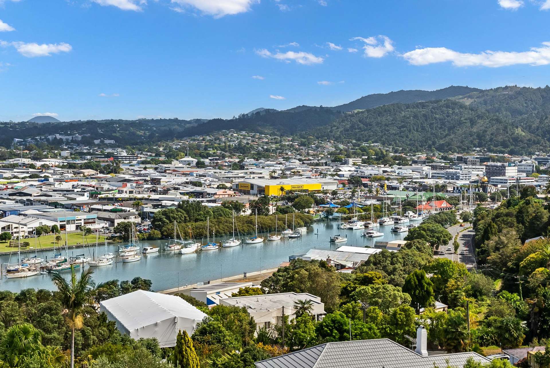 34 Punga Grove Avenue Riverside_0