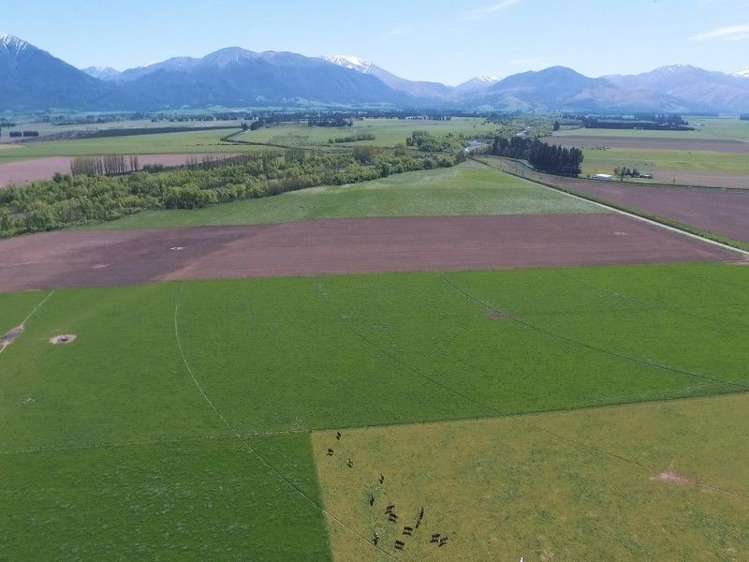 245 Goughs Crossing Road Ashburton Forks_4