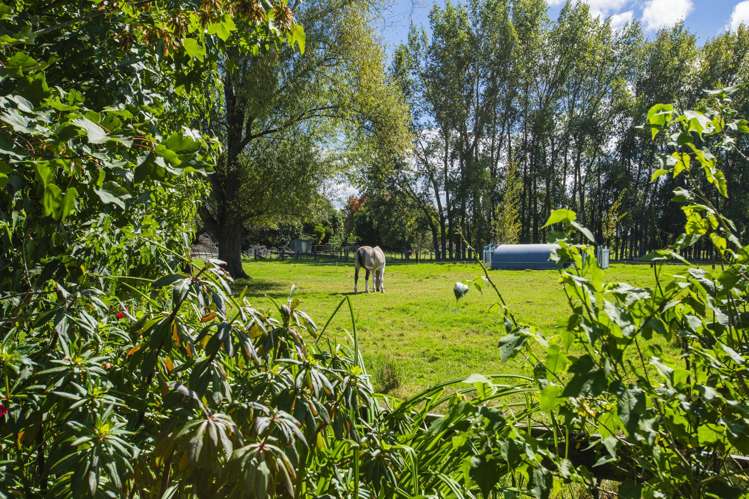 140 Hansen Road Makauri_20