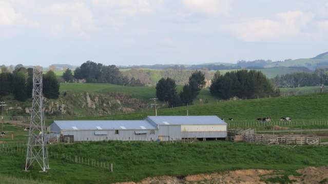 356 Whatauri Road Wharepapa South_4