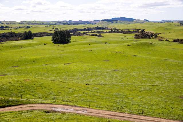 Specialist Bull Beef Unit - Kaianga