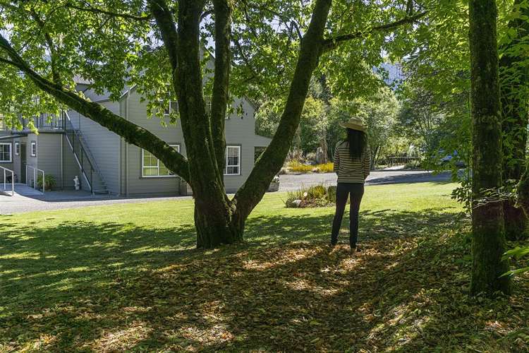 2314 Shenandoah Highway Murchison_34