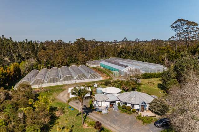 Exceptional Horticultural Orchard for Sale in Kerikeri