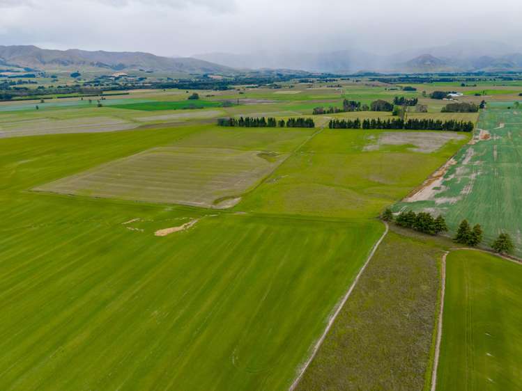 311 Hamilton Road Fairlie_20