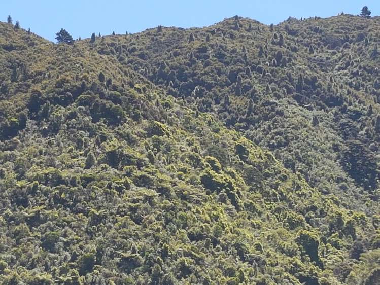 946 Mangatarere Valley Road Carterton_9