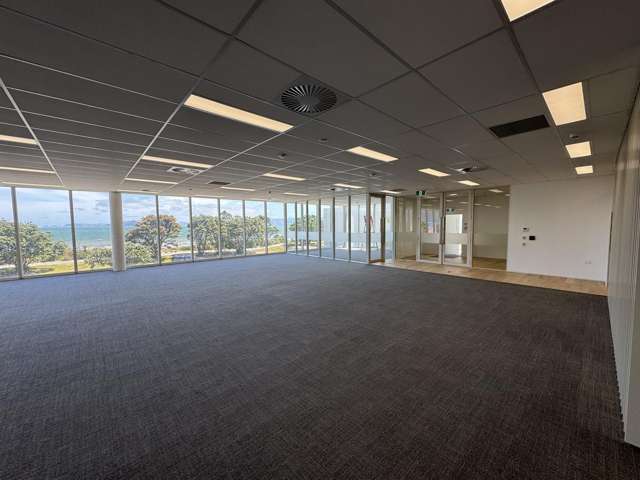 Level 1/81 The Esplanade Petone_2