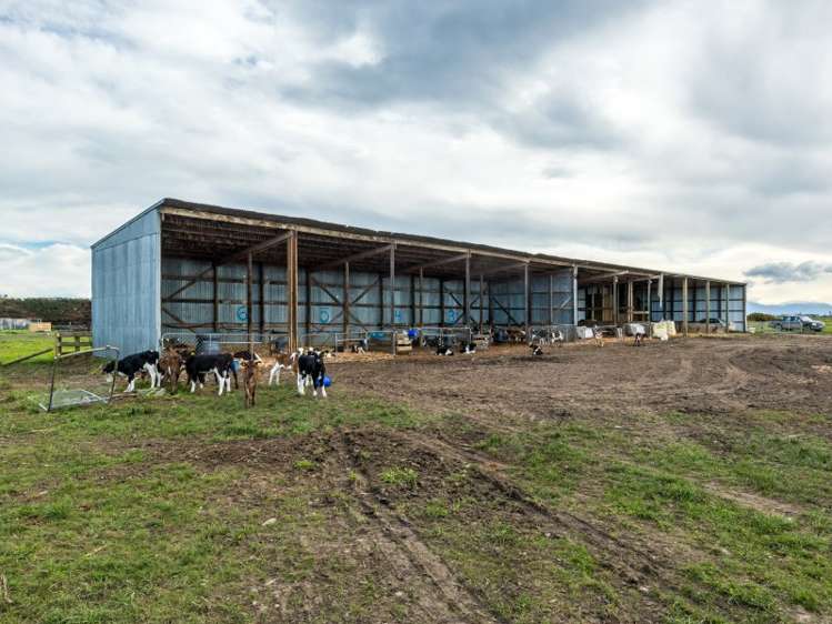 377 Emersons Road Lowcliffe_13