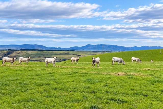 865 Wallaces Ford Road Clarks Junction_1