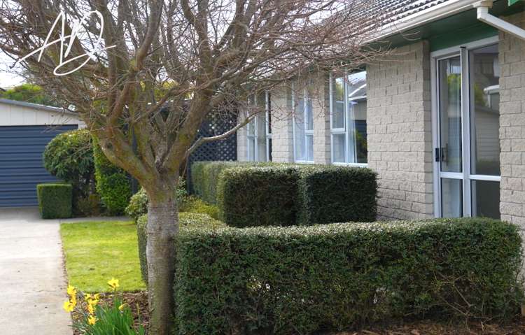 107 Foremans Road Islington_18