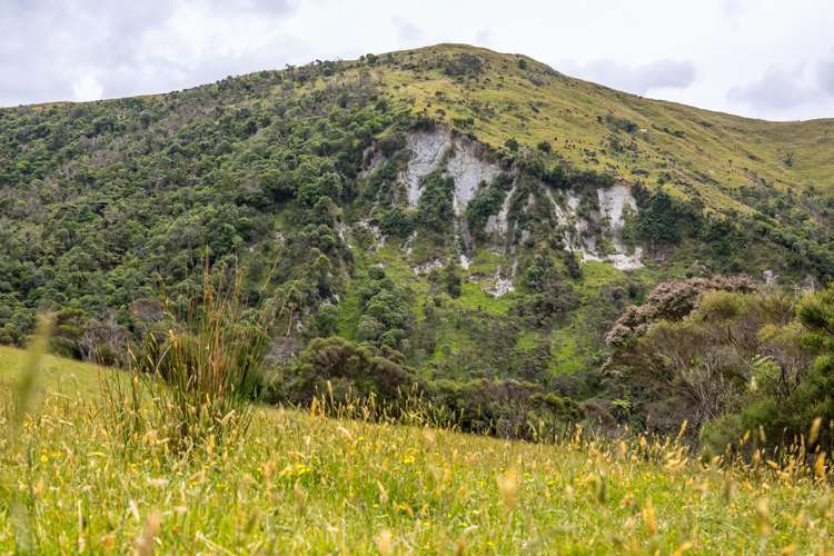 671 Saunders Road Tiraumea_23