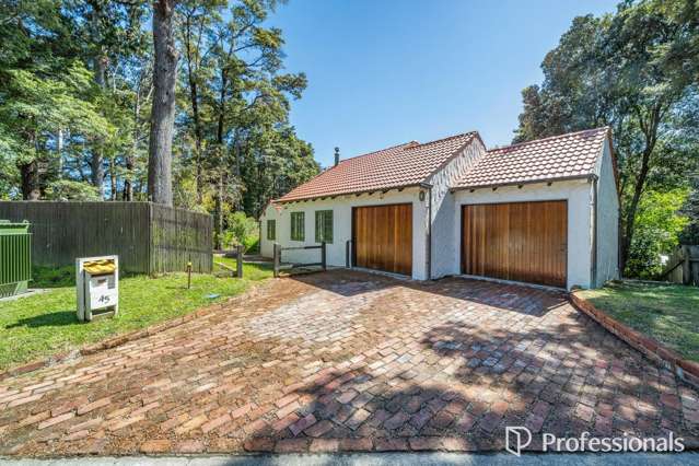 45 Chatsworth Road Silverstream_2