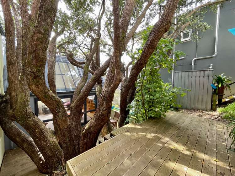 19 Everton Terrace Kelburn_8