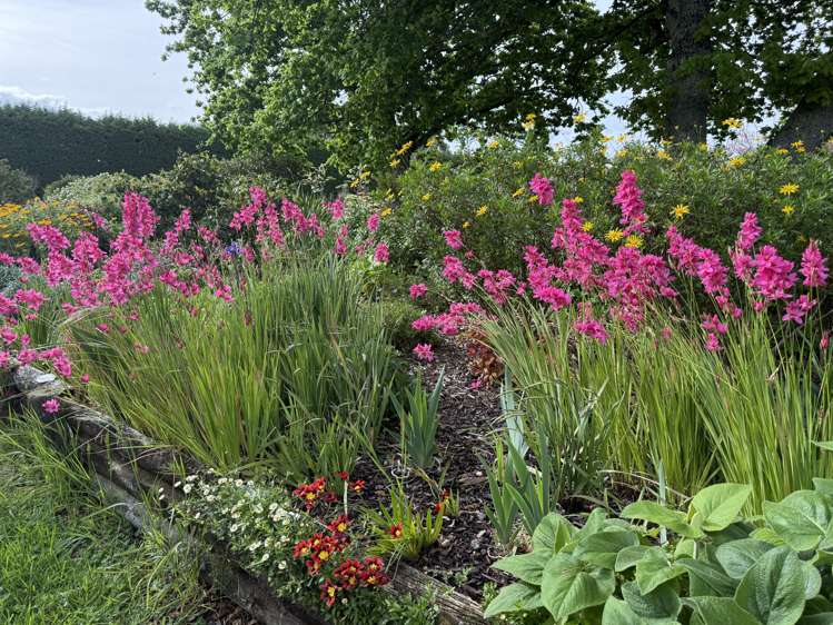 144 Loop Line Masterton_16