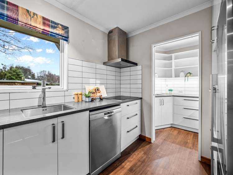 55 Peters Street Hinds_2