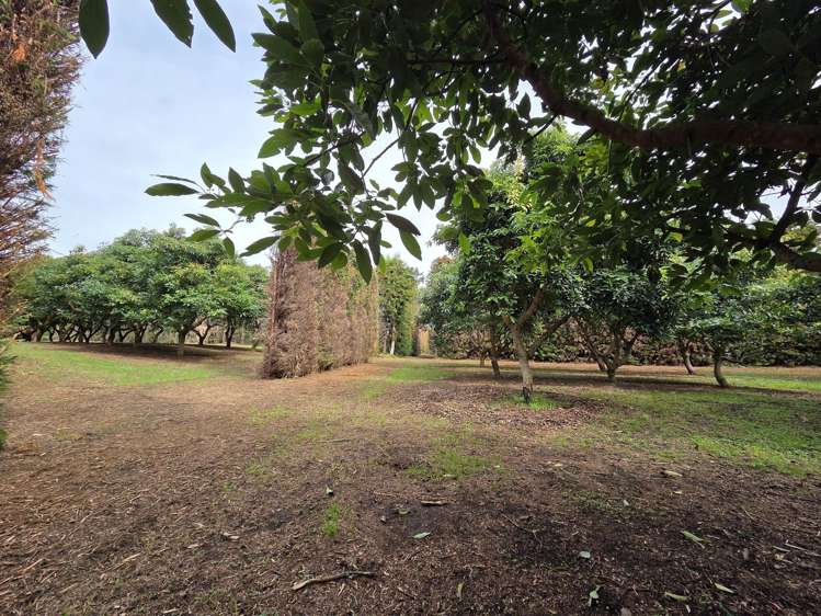 244 Beach Road Katikati_39