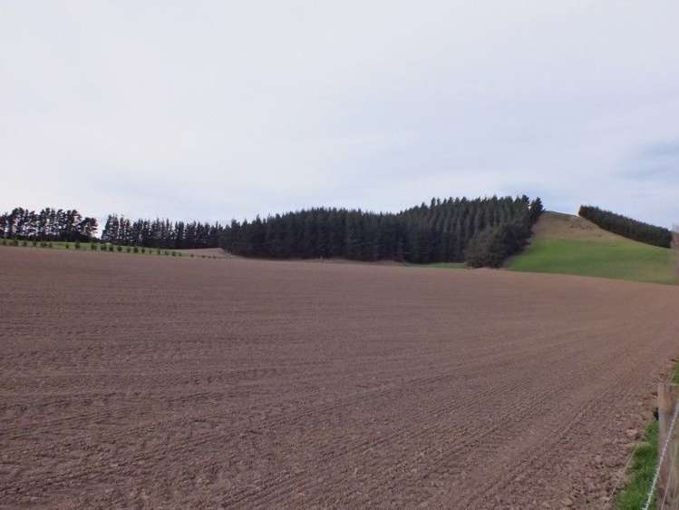 1006 Glenmark Drive Waipara_16