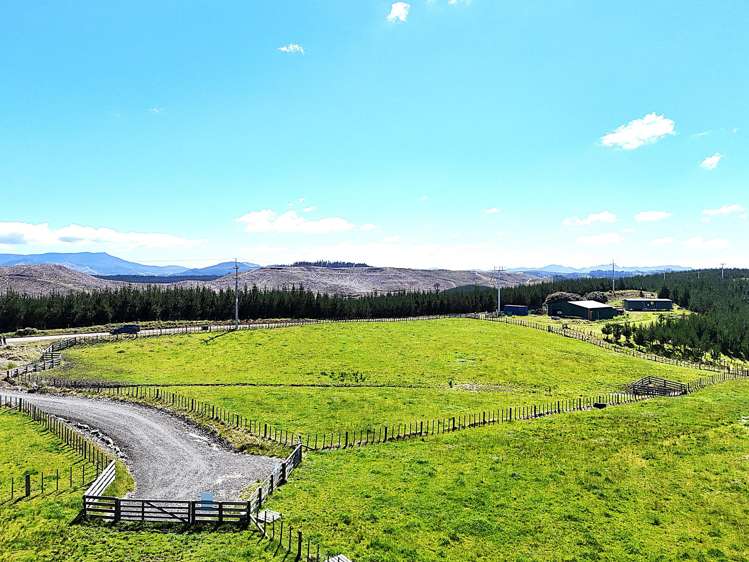 Lot 6 Babylon Coast Road Dargaville_6