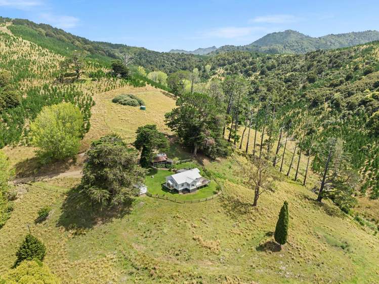 1408 Omana Road Tangiteroria_29