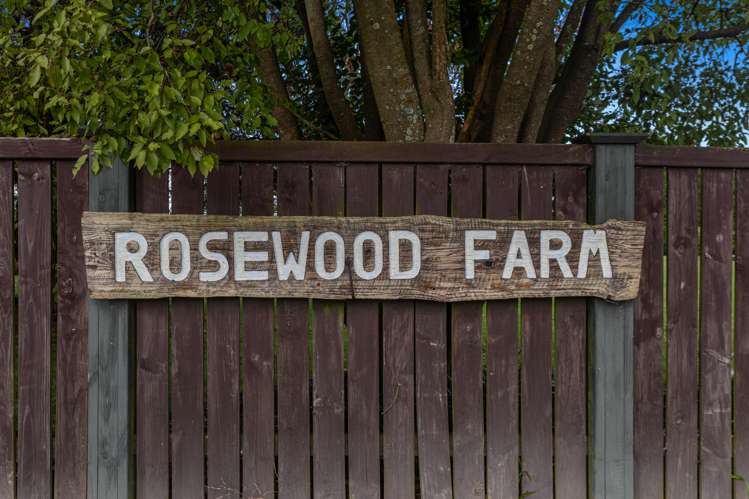 112 Burt Road Matata_23