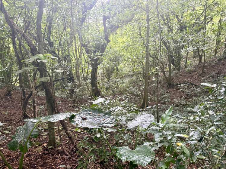 Lot 8 Navava Savusavu_4