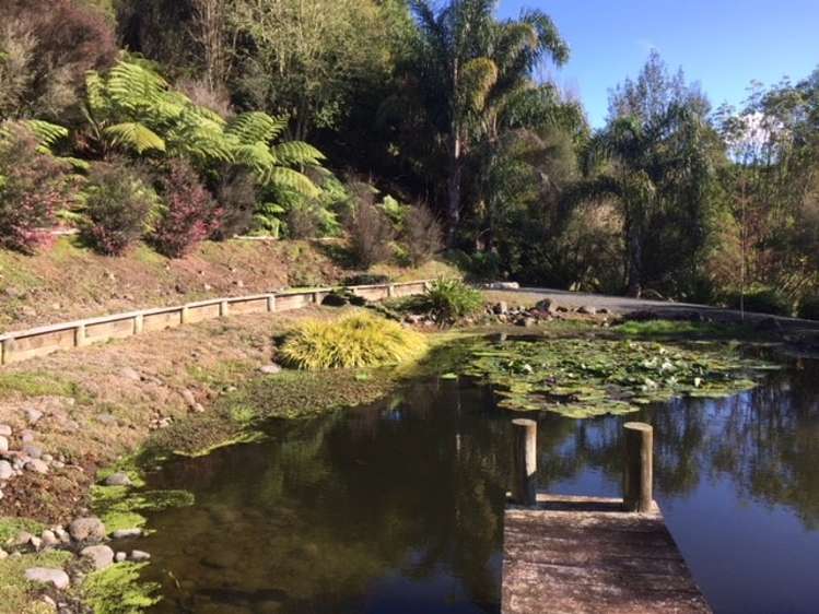 296b Pickering Road Tamahere_17