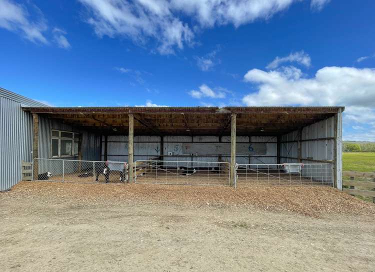 650 Koi Flat Road Gore Surrounds_9