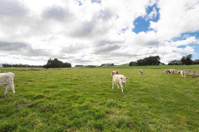 Lt 17 and 18 Matamau/Ormondville Road Dannevirke_1