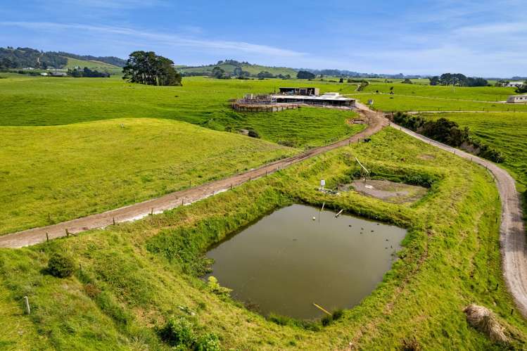 78a Waitoetoe Road Mimi_14