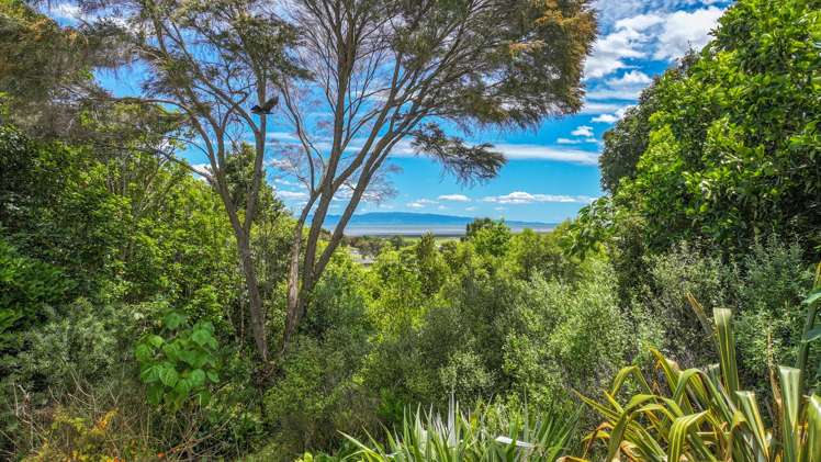 41B Totara Valley Road Thames_20